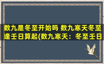 数九是冬至开始吗 数九寒天冬至逢壬日算起(数九寒天：冬至壬日启，气温剧降，预计持续九个节气)